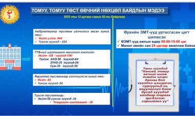 ТОМУУ, ТОМУУ ТӨСТ ӨВЧНИЙ НӨХЦӨЛ БАЙДЛЫН МЭДЭЭ