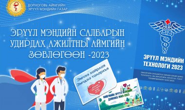 ЭРҮҮЛ МЭНДИЙН САЛБАРЫН  УДИРДАХ АЖИЛТНЫ ЗӨВЛӨГӨӨН ЭХЭЛЛЭЭ