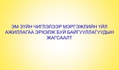 Эм зүйн чиглэлийн тусгай зөвшөөрөлтэй үйл ажиллагаа эрхэлж буй байгууллагуудын жагсаалт